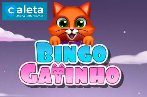 Bingo Gatinho